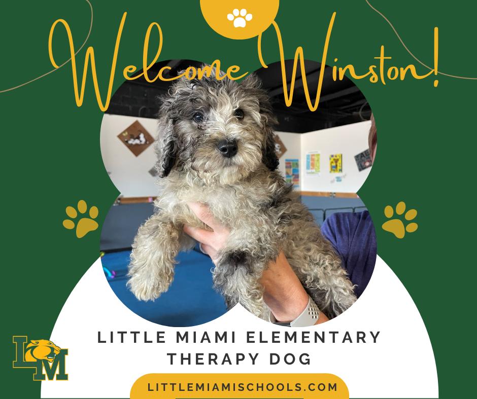 winston, lmes therapy dog